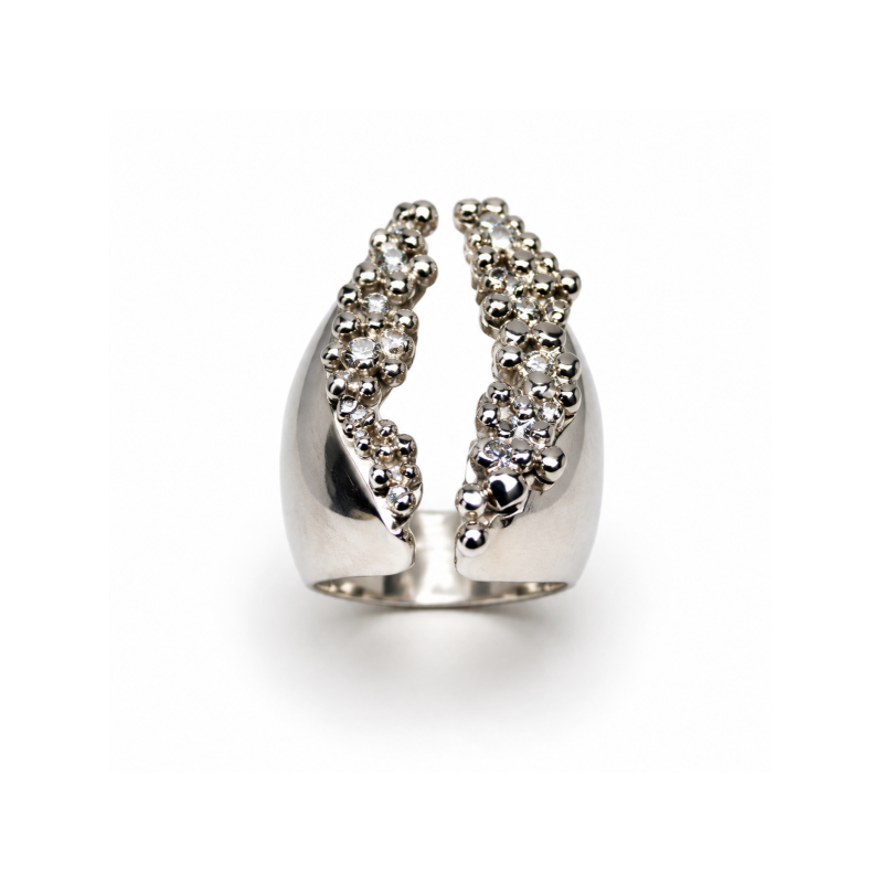 ANILLO ORIGEN