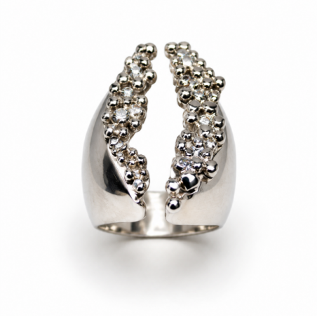 ANILLO ORIGEN
