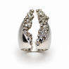 ANILLO ORIGEN
