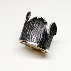 ANILLO ORDEN ANTE EL DESORDEN