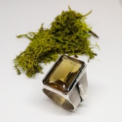 ANILLO SILVA