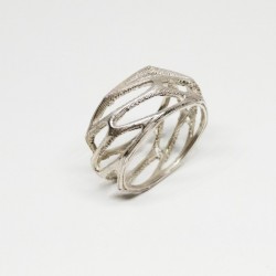 ANILLO VORONOI