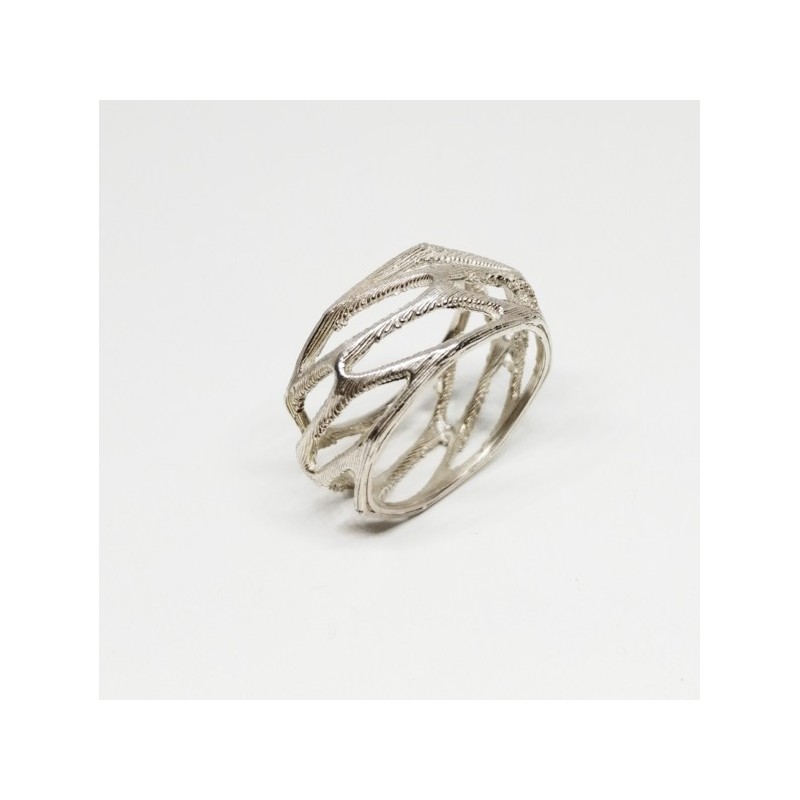 ANILLO VORONOI