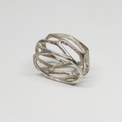 ANILLO VORONOI