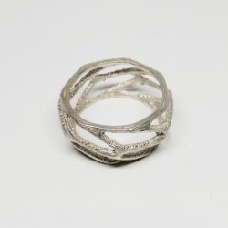 ANILLO VORONOI