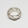 ANILLO VORONOI